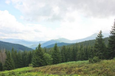 Orman dağlarda. Doğa