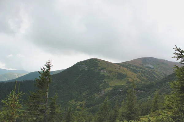 Dağ ve orman. Doğa
