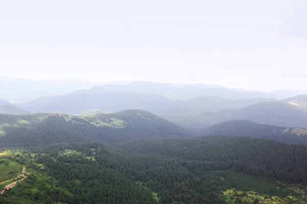 Berg Och Skog Naturen — Stockfoto