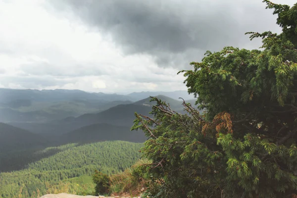 Céu Floresta Montanhas Bela Natureza — Fotografia de Stock