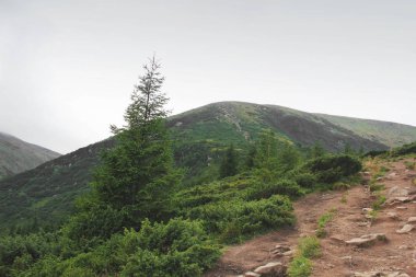 Dağlar ve gökyüzü. Doğa