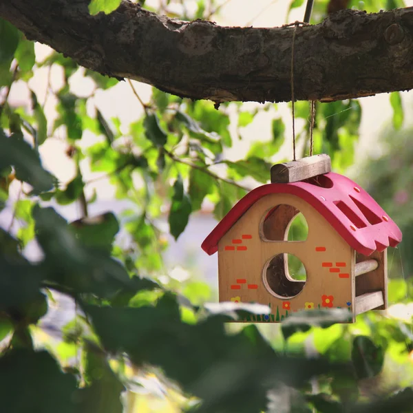 Birdhouse Uma Árvore — Fotografia de Stock