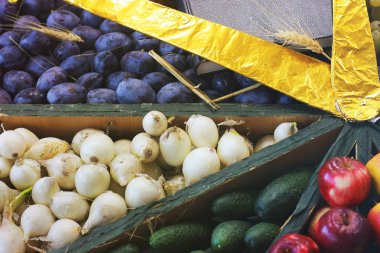 Hasat. Erik, soğan, salatalık ve elma