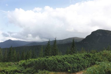 Orman ve dağlar. Doğa