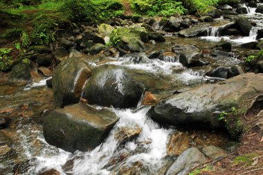 Dağlarda küçük bir şelale