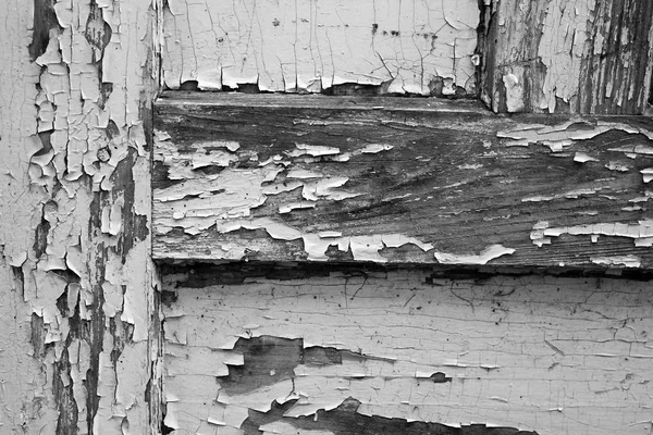 Old Doors Black White Photo — Stock Photo, Image
