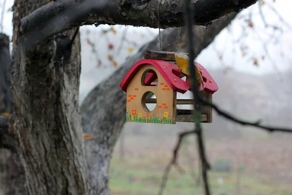 Birdhouse Uma Árvore — Fotografia de Stock