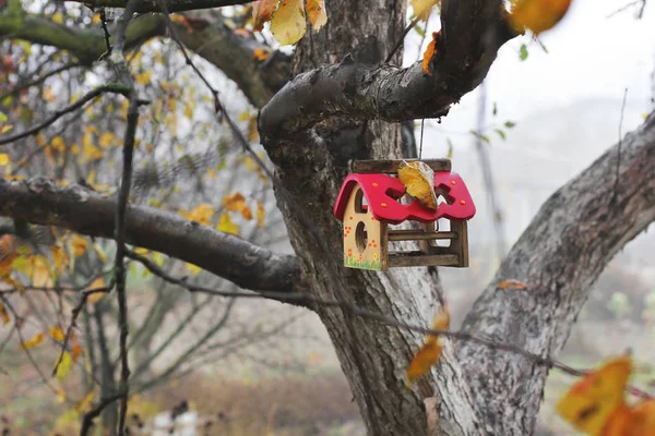 Birdhouse Uma Árvore — Fotografia de Stock