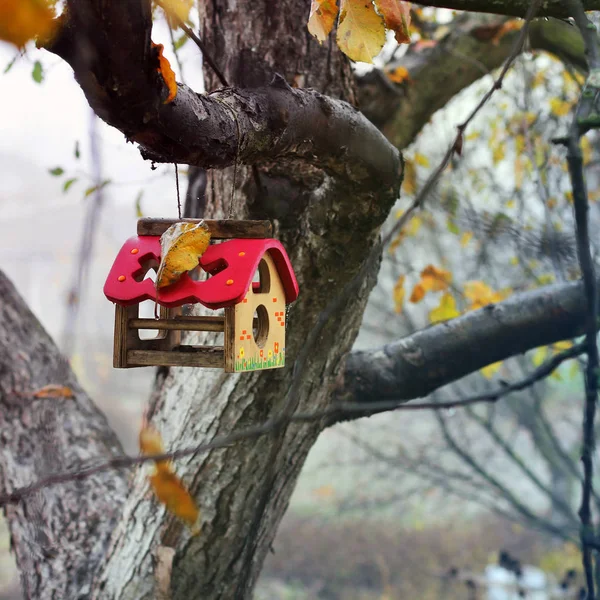 Birdhouse Stromě — Stock fotografie