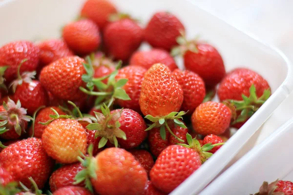 Erdbeeren Aus Nächster Nähe Hintergrund — Stockfoto