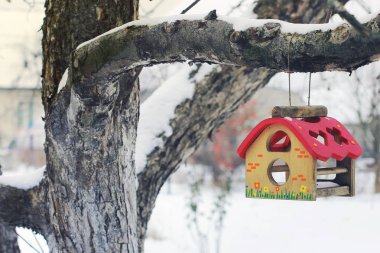 Besleyici bir ağacı kışın kuşlar için. 