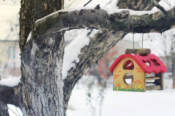 Futterstelle Für Vögel Baum Winter — Stockfoto