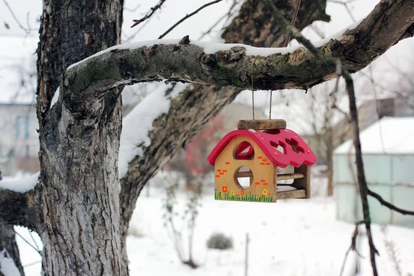 Alimentador Pássaros Uma Árvore Inverno — Fotografia de Stock