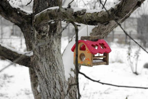 Корм Птиц Дереве Зимой Птичий Дом — стоковое фото