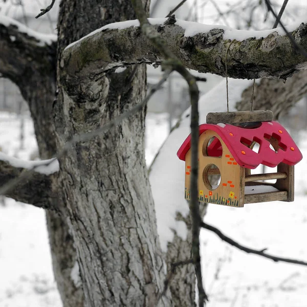 Alimentador Pássaros Uma Árvore Inverno Casa Dos Pássaros — Fotografia de Stock