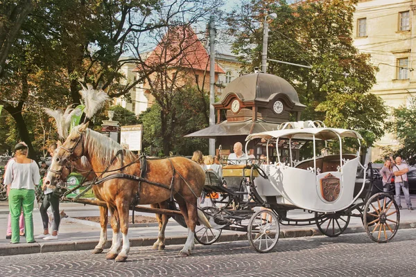 乌克兰利沃夫 2018年8月25日 市中心有马车的马 — 图库照片