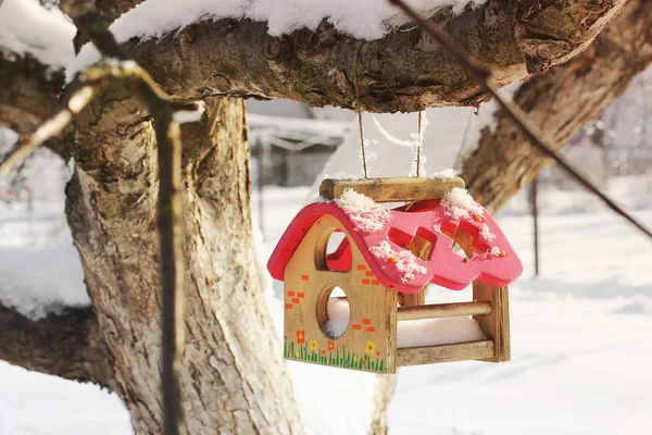 Птичий Домик Зимой Снаружи — стоковое фото