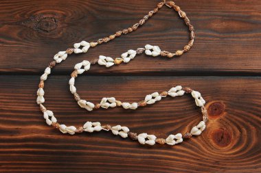 Deniz kabuğu kolye ahşap arka plan üzerinde