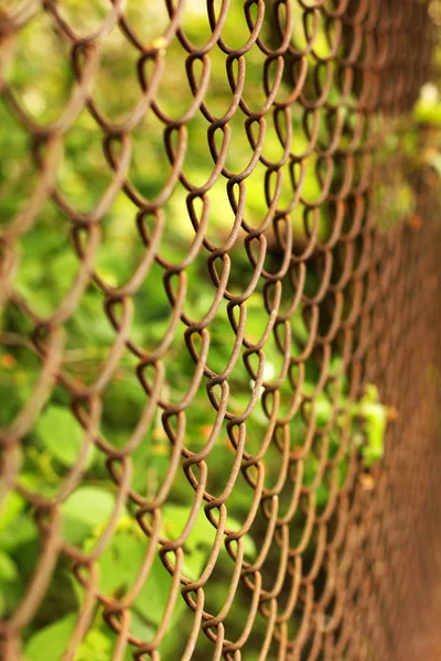 Metal mesh close up. Grid — Stock Photo, Image