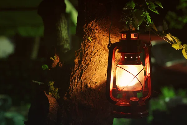 Petroleumlampe im Dunkeln. Petroleumlampe an einem Baum im Garten — Stockfoto