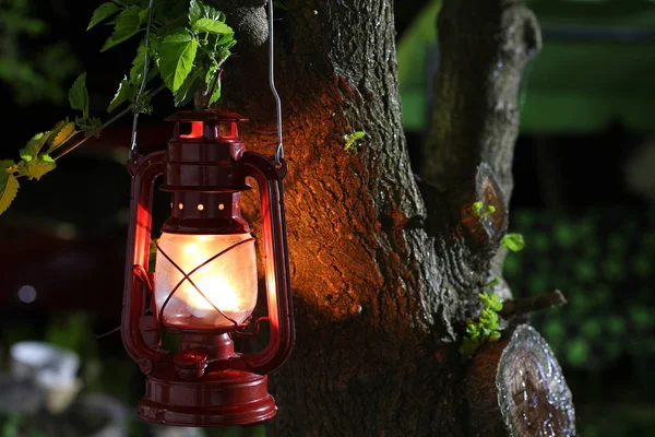 Petroleumlampe im Dunkeln. Petroleumlampe an einem Baum im Garten — Stockfoto
