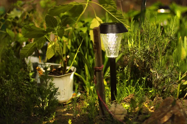 Bahçede güzel bir lamba. Güneş pilli lamba — Stok fotoğraf