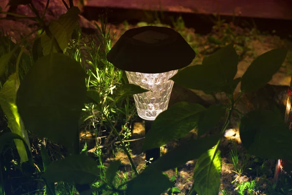 Прекрасна лампа в саду. Лампа з сонячною батареєю — стокове фото