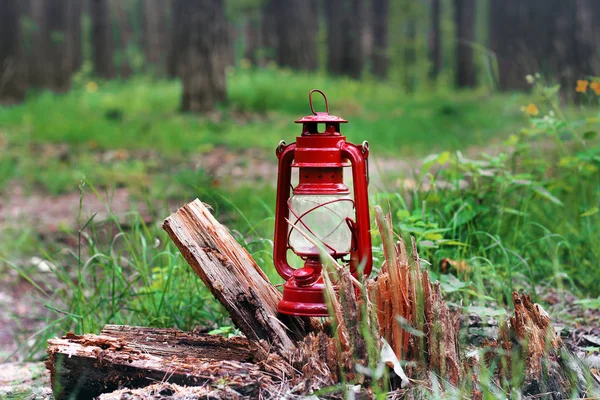 Petrolejová lampa v lese. Abstraktní fotografie — Stock fotografie
