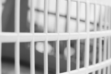 Kafes kapat. Siyah beyaz fotoğraf