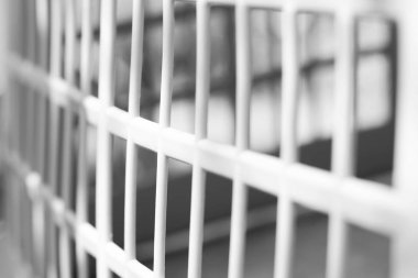 Kafes kapat. Siyah beyaz fotoğraf