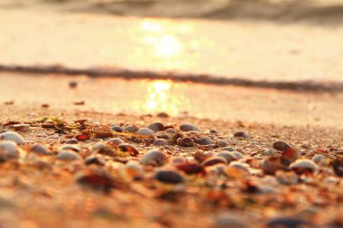 Denizde güzel gün doğumu. Ön planda deniz. Arka plan