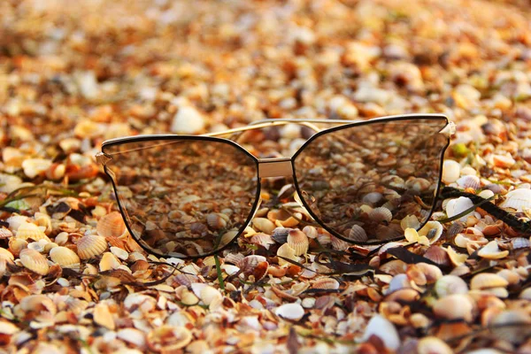 Солнечные очки и ракушки. Солнечные очки на пляже . — стоковое фото