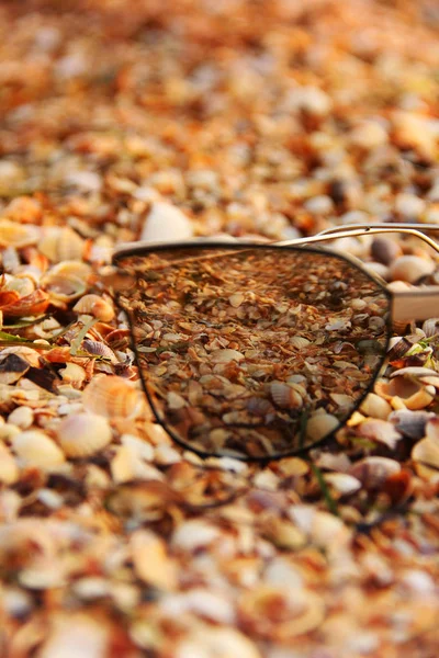 Солнечные очки и ракушки. Солнечные очки на пляже . — стоковое фото