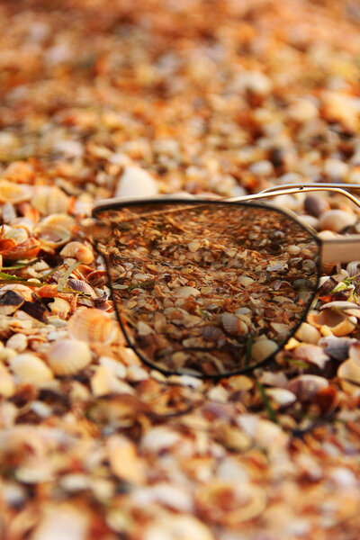 Sunglasses and shells. Sunglasses on the beach.