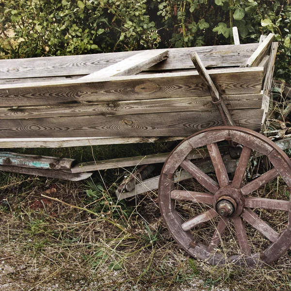 Старий візок на тлі кущів — стокове фото
