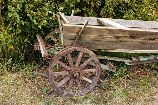 Old cart on the background of bushes — Stock Photo, Image