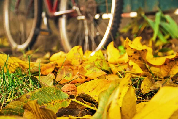 Bicicleta y otoño. Hojas amarillas en primer plano —  Fotos de Stock