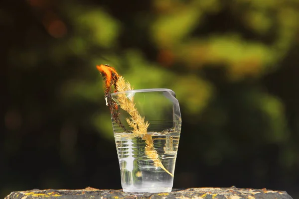 Ett plastglas vatten brinner. Brand och vatten — Stockfoto