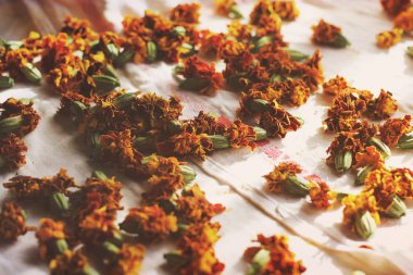 Kurumuş çiçekler. Etiketler kapanıyor. Arkaplan