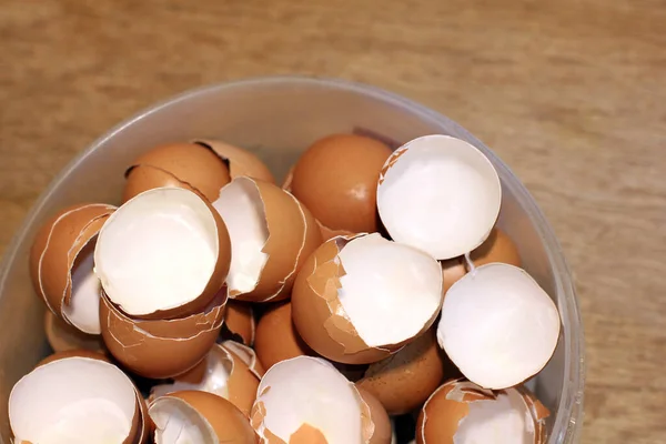 Яєчна Шкаралупа Відрі Збирання Яєчних Шкаралуп Добрив Відходи Харчування Кухні Стокове Фото