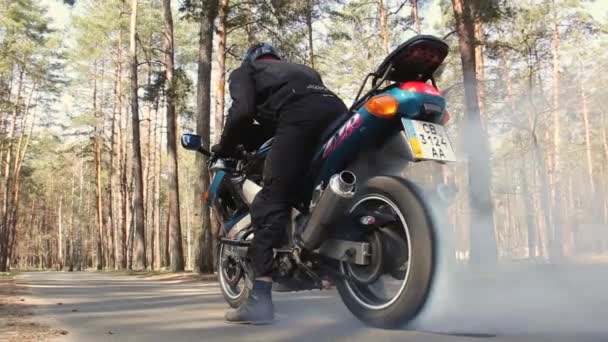 Abril 2020 Chernihiv Ucrania Motocicleta Bosque Kawasaki Bicicleta Deportiva Bosque — Vídeos de Stock