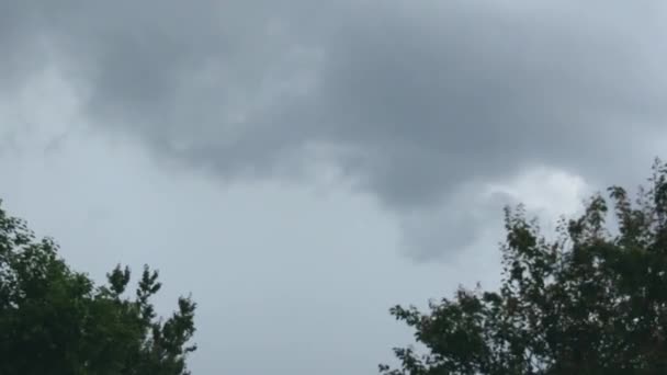Sötét Viharfelhők Felhők Eső Előtt — Stock videók