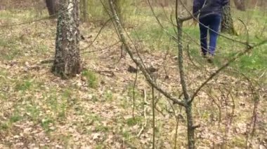 Adam ormanda yürüyor.