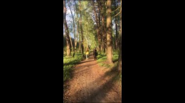 Bir kızla bir adam ve bir köpek ormanda yürüyorlar.