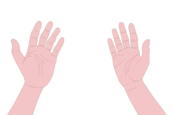 Handen Een Witte Achtergrond Handen Illustratie Voor Ontwerp — Stockfoto