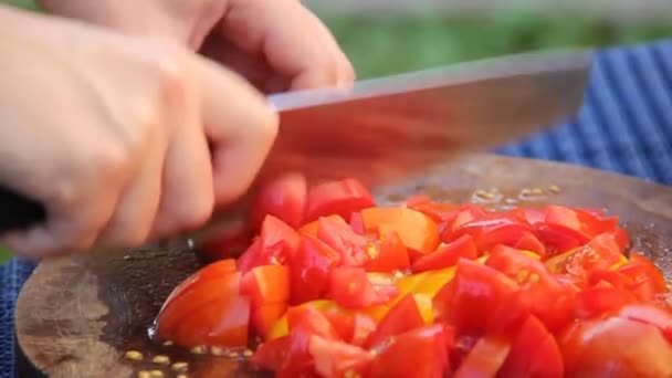 Cortar Grande Plano Tomate Rapariga Corta Tomates Tomates Uma Faca — Vídeo de Stock