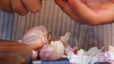 Kız sarımsağı soyuyor. Sarımsak yakın çekim.