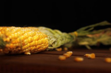 Mısır. Sarı mısır yaklaş. Tahta zemin üzerinde mısır