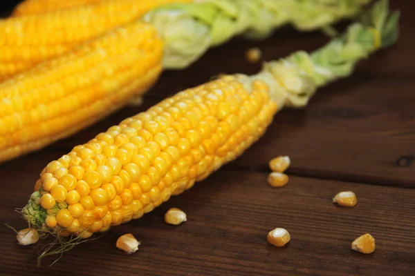Kukorica Sárga Kukorica Közeledik Kukorica Alapon — Stock Fotó