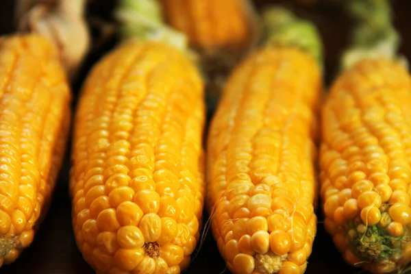 Кукурудза Жовта Кукурудза Крупним Планом Кукурудза Чорному Тлі — стокове фото